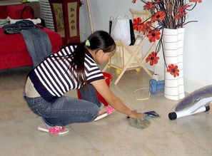 專業(yè)清潔服務(wù)，打造潔凈舒適的家居環(huán)境