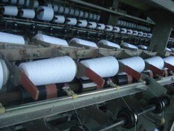 蒼南縣望里鎮(zhèn)海島清潔用品廠 專業(yè)清潔服務(wù)，守護環(huán)境之美