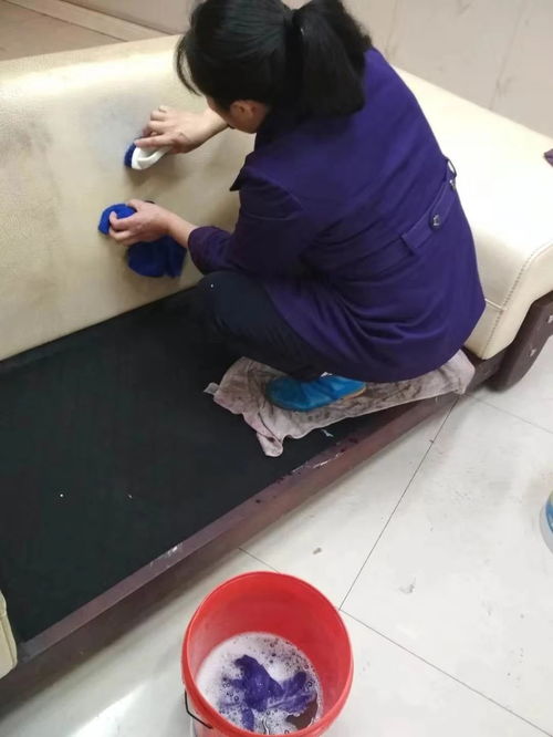 重慶專業清潔服務 日常保潔、開荒保潔與高層外墻清洗全方位指南